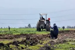 مجری پتروشیمی میانکاله بدهکار بزرگ بانکی است