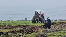 مجری پتروشیمی میانکاله بدهکار بزرگ بانکی است