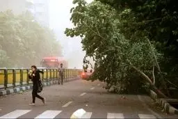 مصدوم شدن ۵۳ نفر و فوت ۶ تن در حوادث جوی ۲۴ ساعت گذشته 