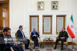 UNAMI envoy , FM Amir-Abdollahian discuss Iraq developments