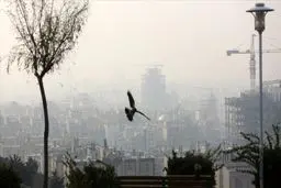 ۲ نقطه تهران در وضعیت قرمز قرار گرفت