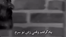استوری کنایه آمیز علیرضا بیرانوند
