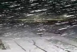 بارش شدید برف در لیلاخ+ ویدئو