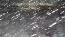 بارش شدید برف در لیلاخ+ ویدئو