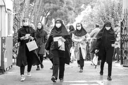 تقلب نابغه‌ها یا  کسب‌و‌کارهای کنکوری
