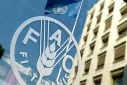 فائو: ۱۱۹ کشور جهان امنیت غذایی کمتری در مقایسه با ایران دارند