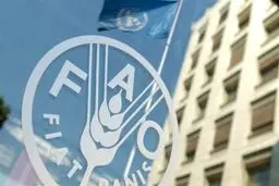 هشدار فائو نسبت به تنگهٔ هرمز: جهان با یک بحران غذایی مواجه خواهد شد