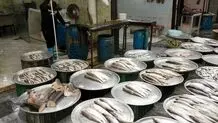 قیمت انواع ماهی؛ چهارشنبه ۶ فروردین ۱۴۰۴