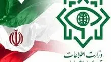 Iran busts Mossad spy network planning to target defense ind.