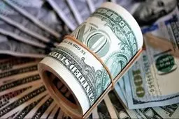 هر ارز دولتی‌ای فساد نیست