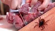 پیاده‌روی روزانه خطر ابتلا به ۱۳ نوع سرطان را کاهش می‌دهد
