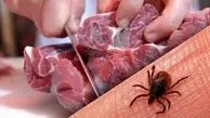 فوت یک دامدار به علت ابتلا به تب کریمه کنگو 