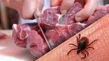 فوت یک دامدار به علت ابتلا به تب کریمه کنگو 