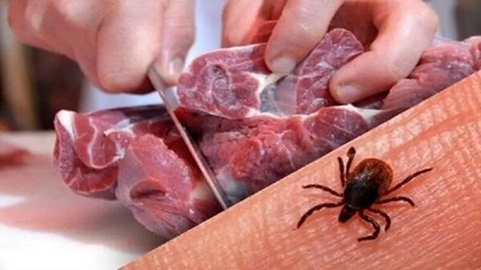 فوت یک دامدار به علت ابتلا به تب کریمه کنگو