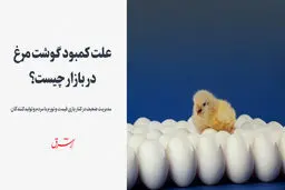 علت کمبود گوشت مرغ در بازار چیست؟

