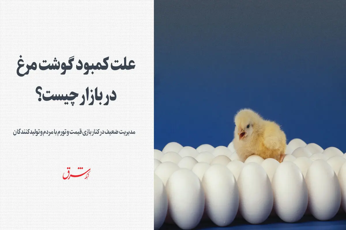علت کمبود گوشت مرغ در بازار چیست؟


