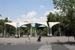 اخراج استادان سیاسی نبود، بجز زارچی