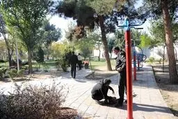 پلمب ۲۷ پاتوق معتادان در جنوب پایتخت
