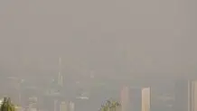 چرا تعطیلی ادارات و مدارس تهران دیر اعلام می‌شود؟ توضیح رئیس کارگروه اضطرار آلودگی هوای تهران را بخوانید