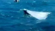 حادثه دریایی در نزدیکی شهر بندری سیریک در ایران