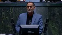 روح الله عباس پور: فعالیت‌های درمانی شما با جهت‌گیری پزشکیان همخوانی ندارد/ ویدیو