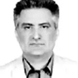 حمید  نظری