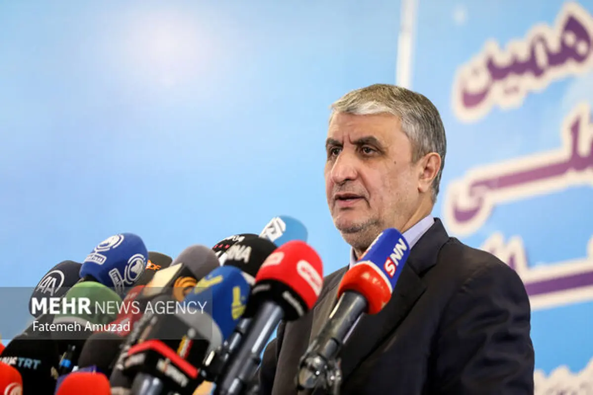 Iran's nuclear facilities 100% secure: AEOI chief