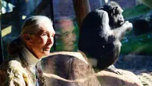 طبیعتی که ذهن میآفریند