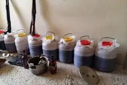 کشف مشروبات الکلی در ویلای دماوند


