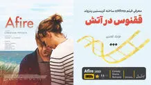 ققنوس در آتش