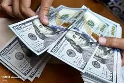 بلاتکلیفی واردات