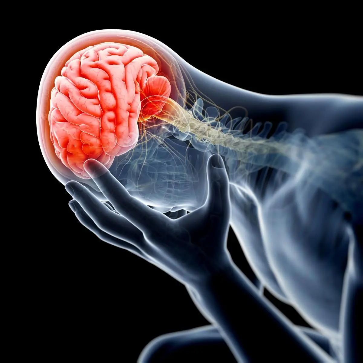 هشدار وزارت بهداشت درباره سکته مغزی؛ هر دقیقه تاخیر می‌تواند سرنوشت بیمار را تغییر دهد