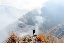 نبرد نافرجام با آتش‌سوزی «الیت»

