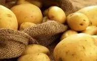 کشف تازه درباره فواید مصرف سیب‌ زمینی
