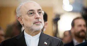 پیشنهاد علی‌اکبر صالحی برای افزایش اختیارات رئیس‌جمهور در مذاکره با آمریکا / تصمیم‌گیری‌ها سریع و صائب باشد