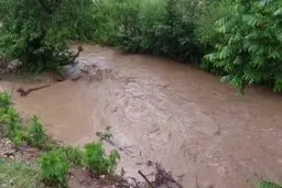 هشدار مدیریت بحران نسبت به اتراق در کنار و بستر رودخانه‌ها