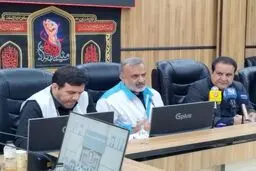 کوچکترین زائر اربعین ۱۳ روزه است /  مسن ترین  زائر ۱۱۰ سال سن دارد 