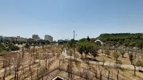 تهران سبزتر می‌شود یا تشنه‌تر؟