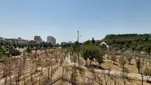 اجرای ۱۴ کنسرت این هفته در تهران+ برنامه زمانبندی