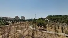 تهران سبزتر می‌شود یا تشنه‌تر؟