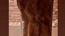 سنگ‌نگاره ساسانی احتمالا متعلق به یک بزرگ‌زاده است