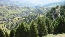کمبود نیروی حفاظتی در جنگل‌های آذربایجان شرقی