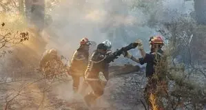 ماجرای آتش سوزی  شبانه در سواد کوه چه بود ؟