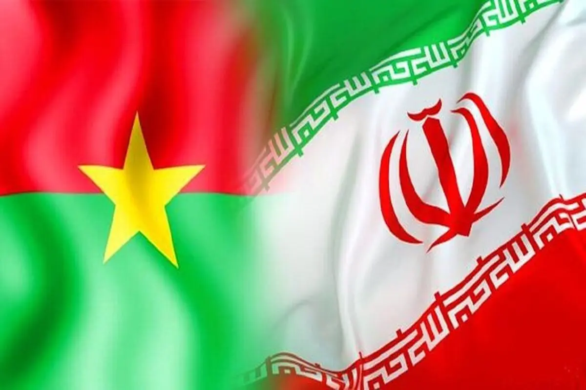 Iran-Africa trade exchange increasing: minister 