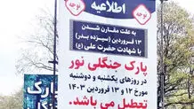 ضعف نهاد دولت، نتیجه ناکارآمدی مدیران دولتی