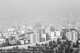 ترک فعل بی‌مجازات
