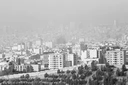 ترک فعل بی‌مجازات
