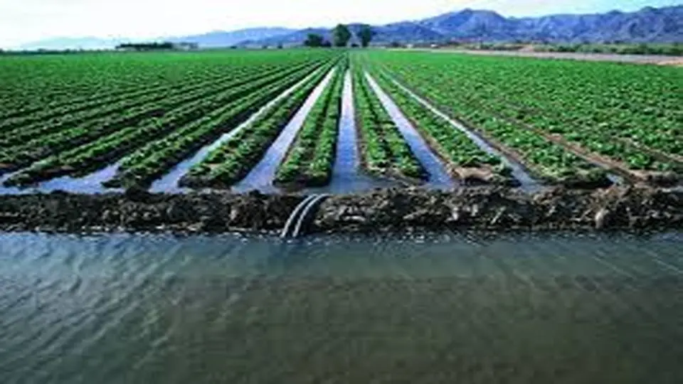 کشاورزی پرمصرف؛ قاتل پنهان آب ایران