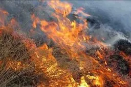 آتش‌سوزی گون‌زارهای درختچه‌ای اردل چهارمحال و بختیاری مهار شد
