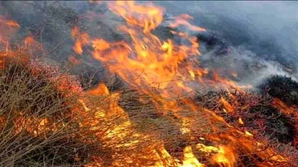 آتشسوزی گونزارهای درختچهای اردل چهارمحال و بختیاری مهار شد